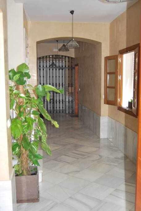 Comfy Away - Exclusivo Casco Antiguo Con Terraza * Séville
